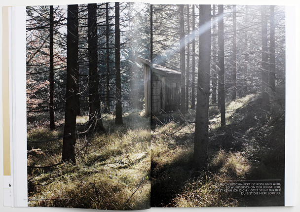 Wald_Nr_4